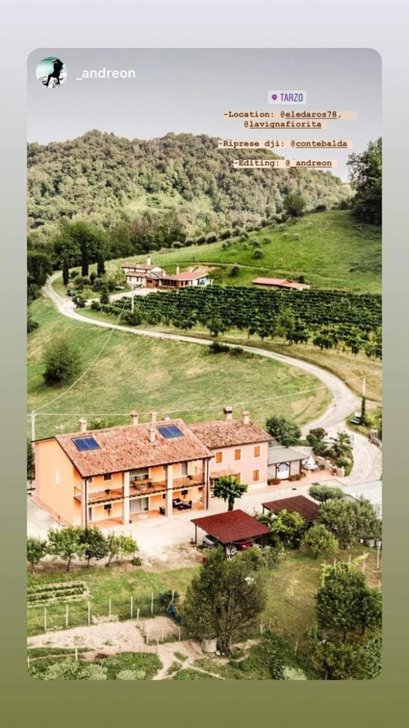 La Vigna Fiorita B&B Tarzo Екстериор снимка